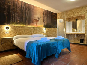 Hotel y Albergue Real Fabrica de Ezcaray